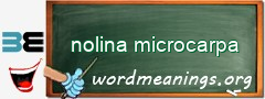 WordMeaning blackboard for nolina microcarpa